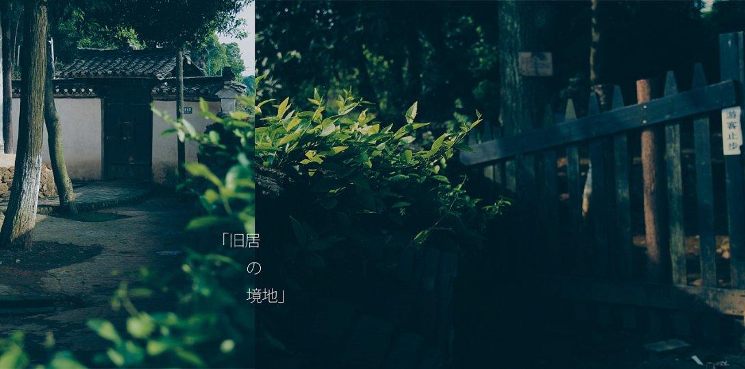 沙皮狗逃离