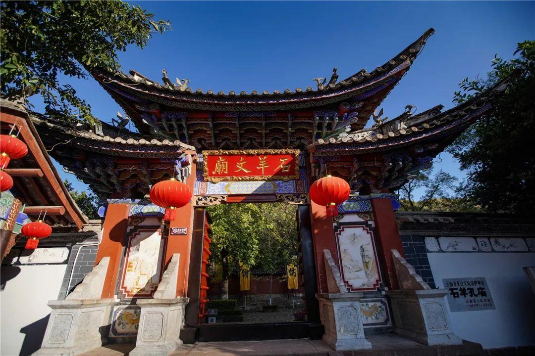 射击红色鸟